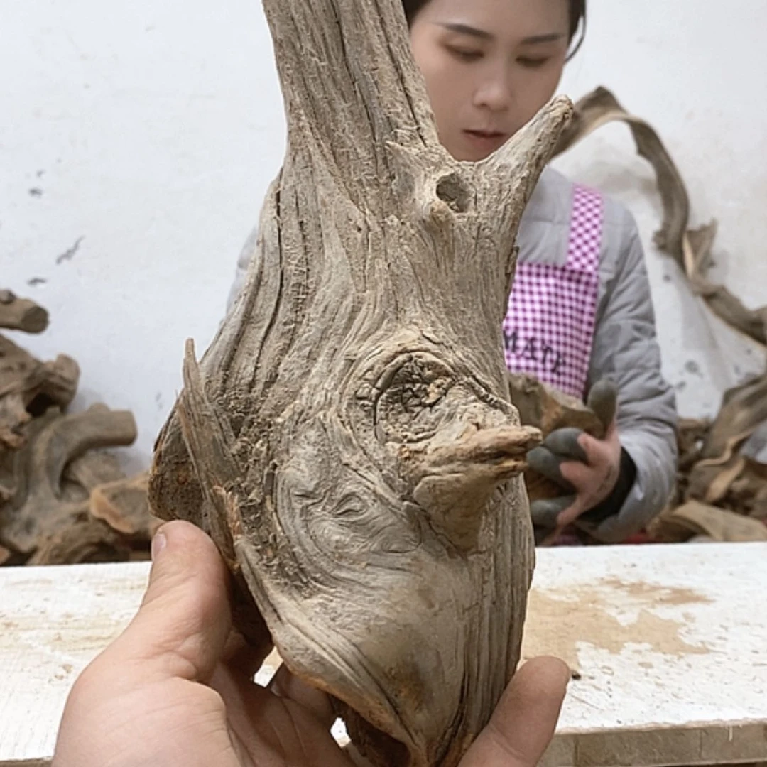 【闪购商品】柏木低*我们都是好孩子