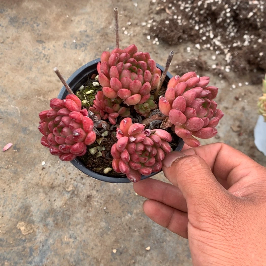 我在上课一看到信息了