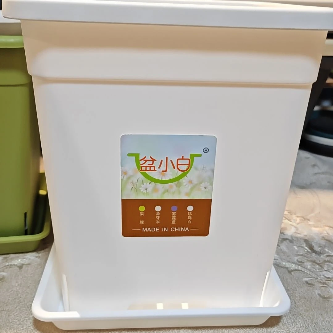 控根方盆外口径20高23，白色带托五个