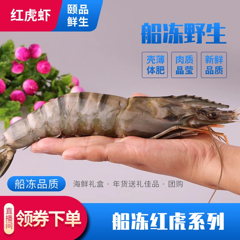 海虎虾海捕船冻虎虾920g/盒冷冻年货送礼红虎虾黑虎虾