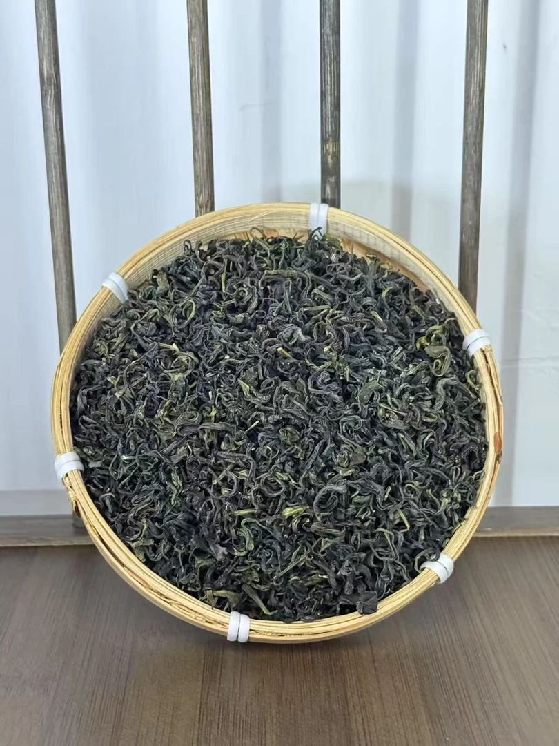 山东日照绿茶2025新茶叶批发栗香炒青绿茶