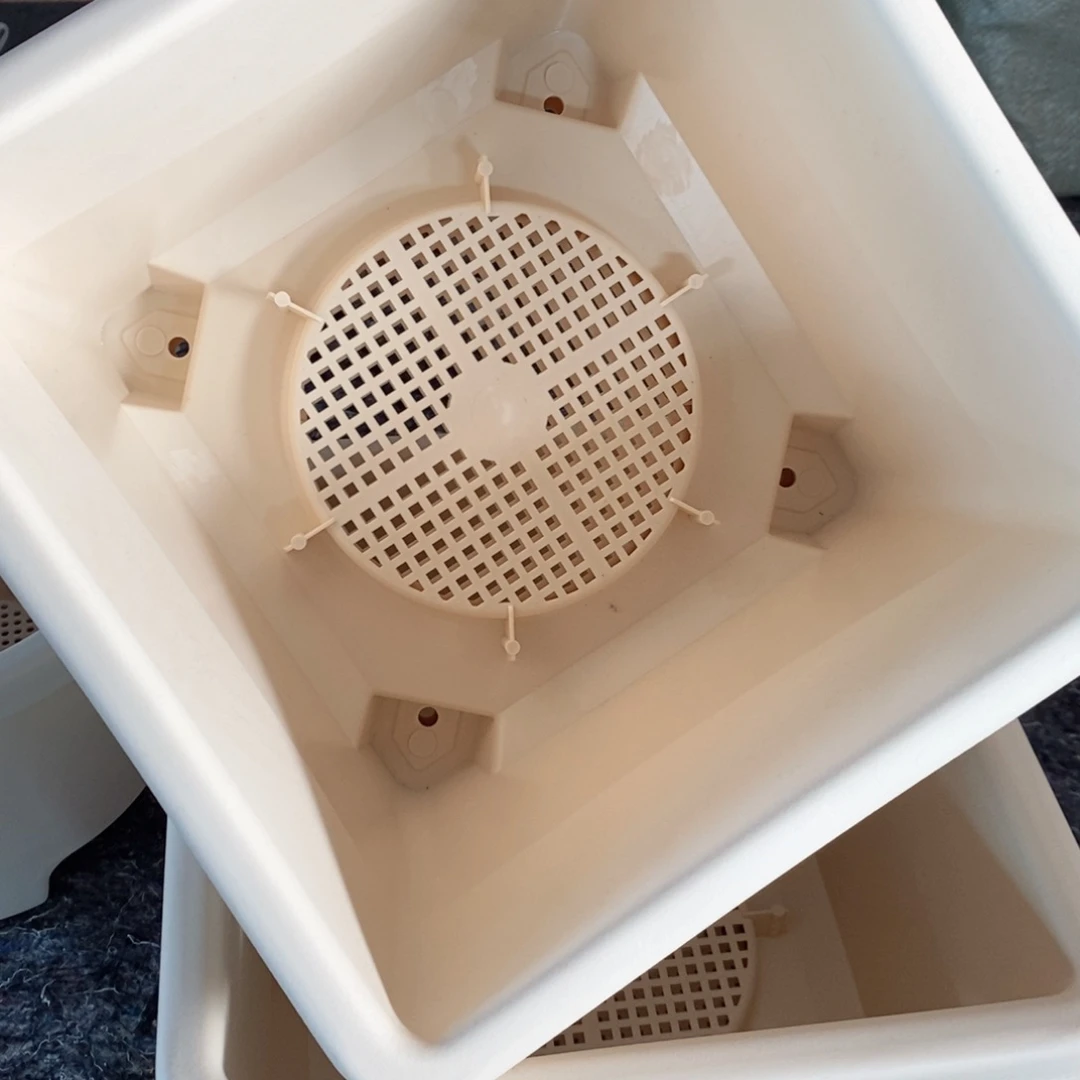 树脂10个米色球根方无托