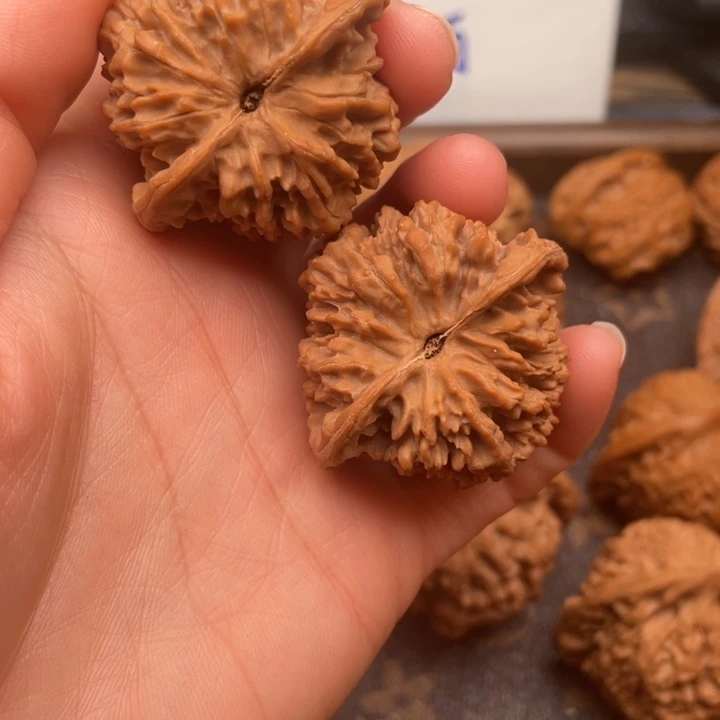 核桃满天星狮子头