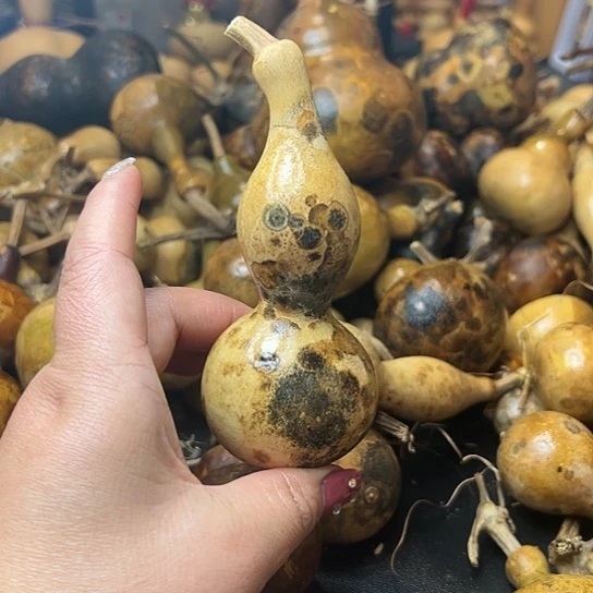 ꧁**꧂葫芦葫芦葫芦葫芦