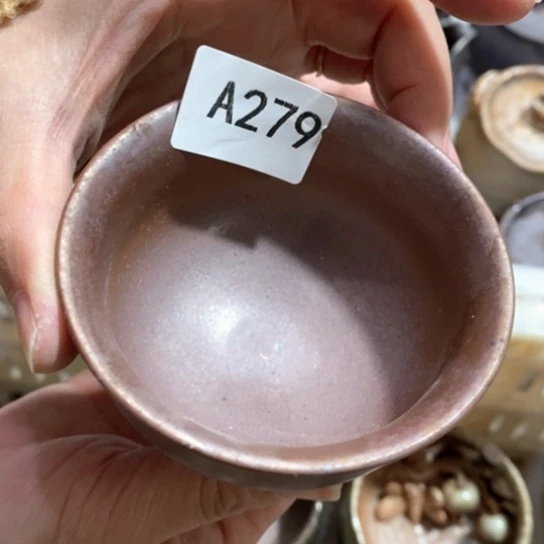 福利福利活动来了打