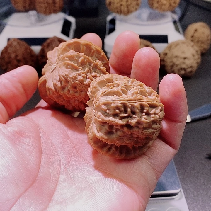 白狮红皮大果油性足