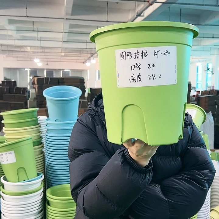 正品圆控口24高24果绿无托5只