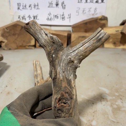 大果紫檀（缅甸花梨）8**9