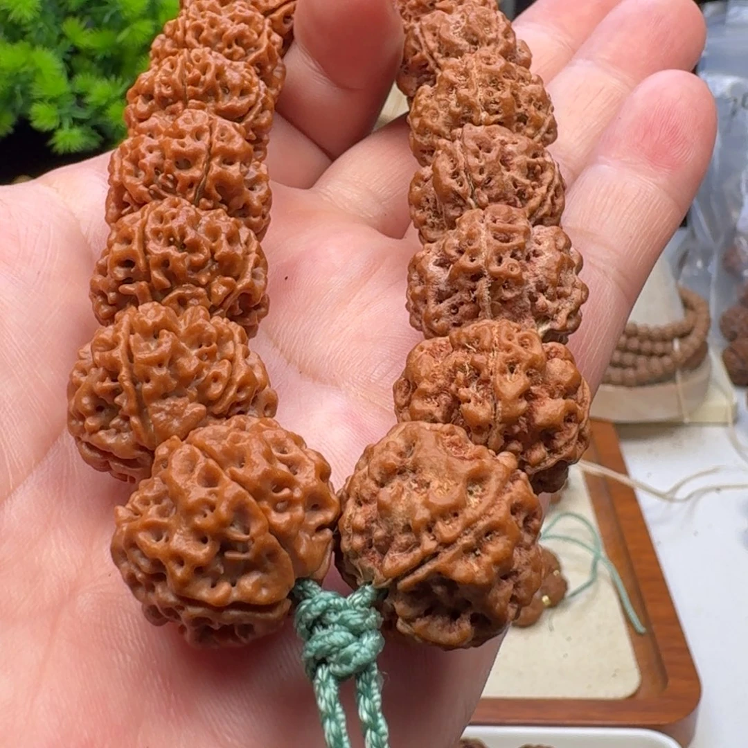 金刚菩提手串梁蜂王