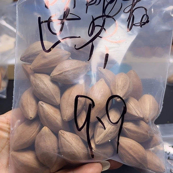 眯***界手串/手链橄榄核11112