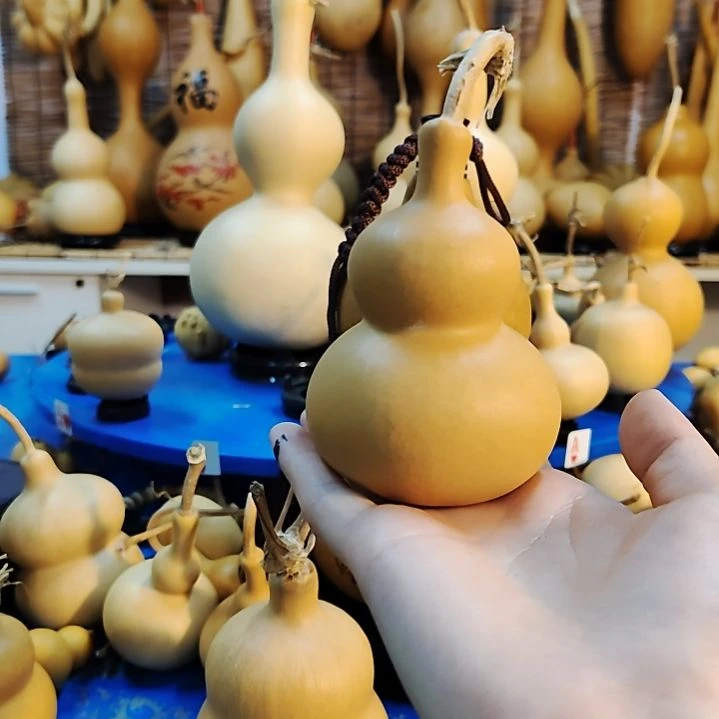 ?***?他他他他他他他他他他