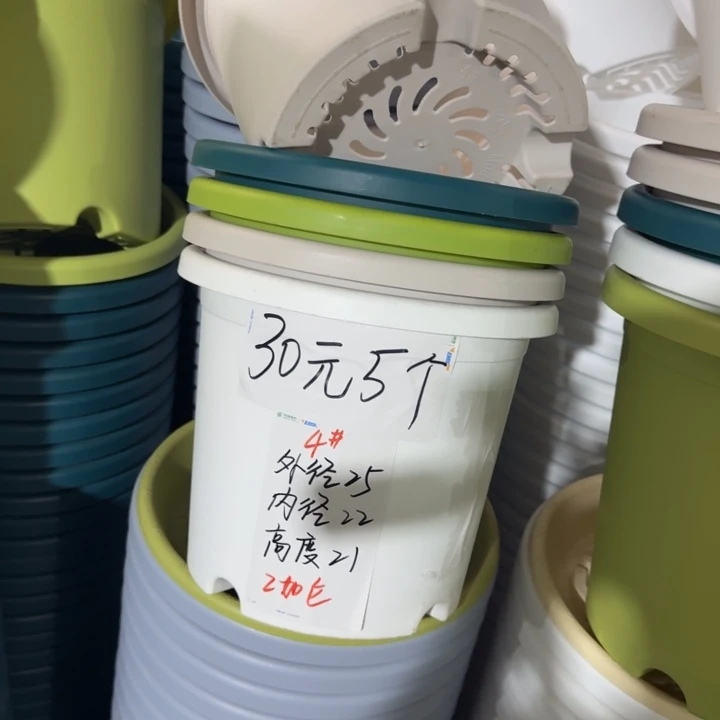 四季4#口径25白色8个无托