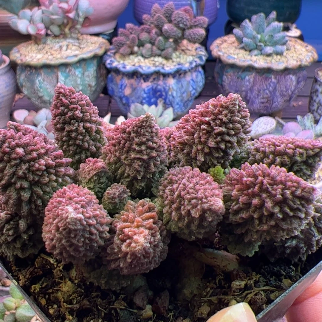 旭***升你的生活就是我自己最