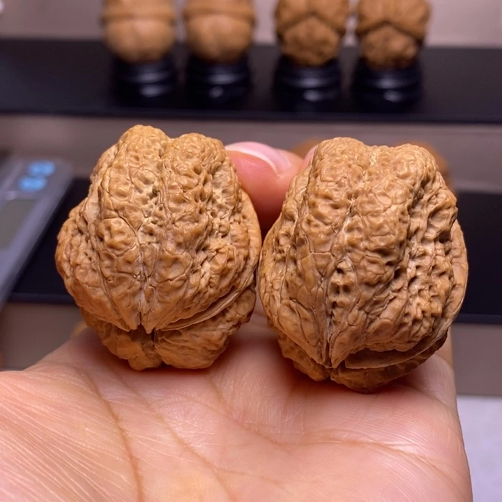 文玩核桃把件临沧古蟾王23