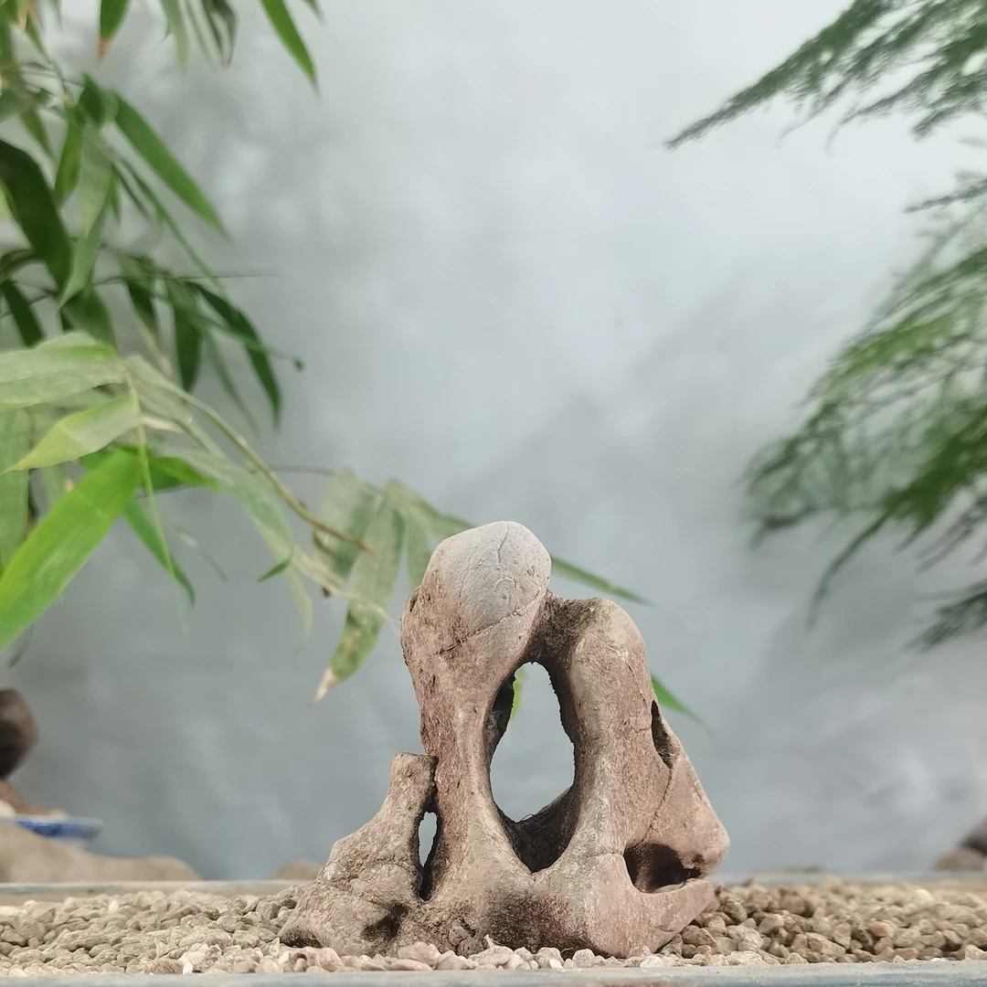 精品太湖石，附石，英石直播间截图一物一拍