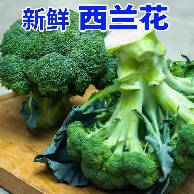 【双12返场】新鲜西兰花产地直供商超一级果现摘现发打霜果更鲜嫩