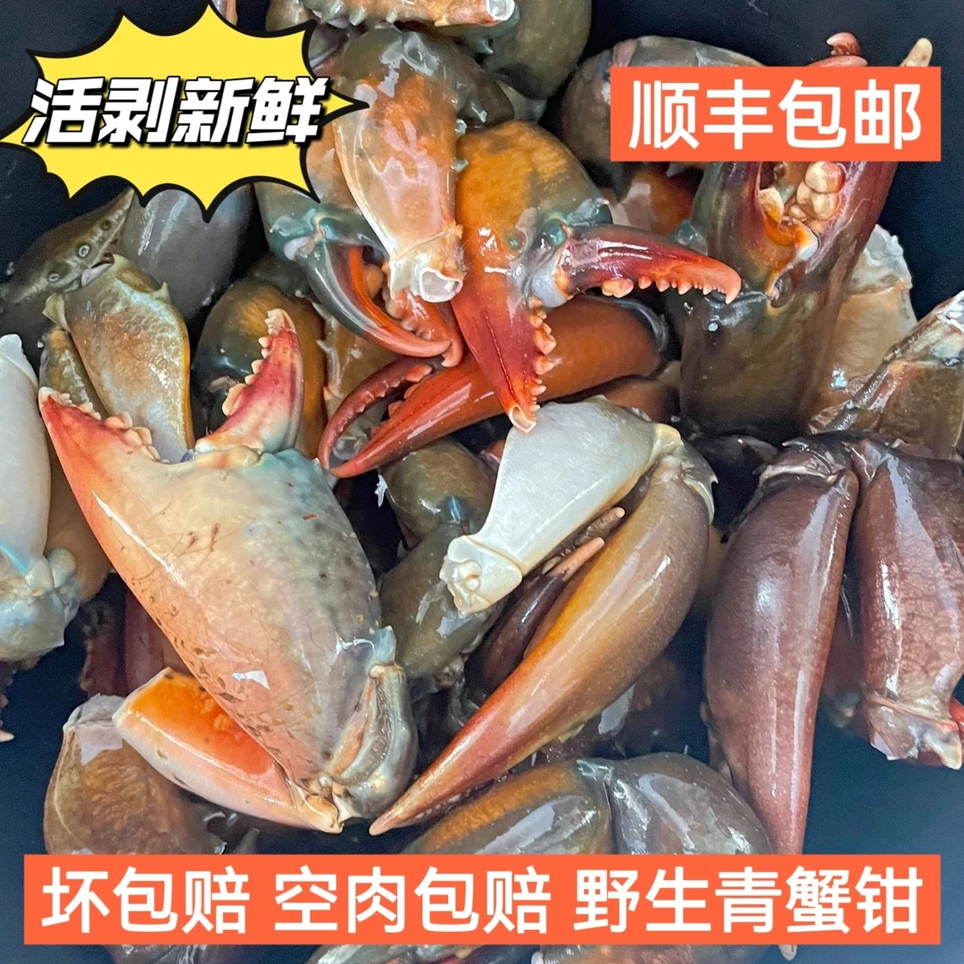 福建东山岛青蟹钳特大蟹腿新鲜冷冻超大钳子香辣蟹脚肉现掰蟹肉