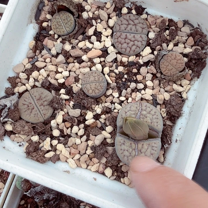 是一个不想被爱包围321