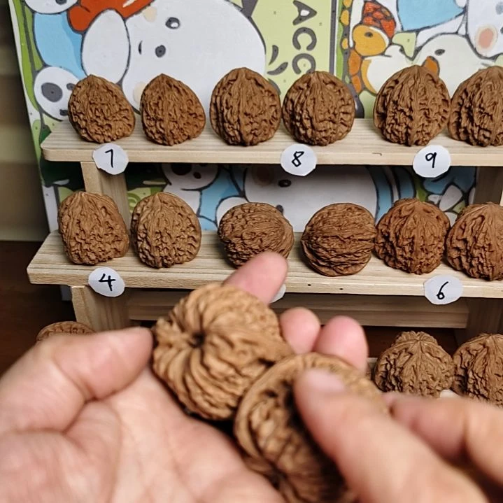 小***鱼涿鹿文玩核桃南将