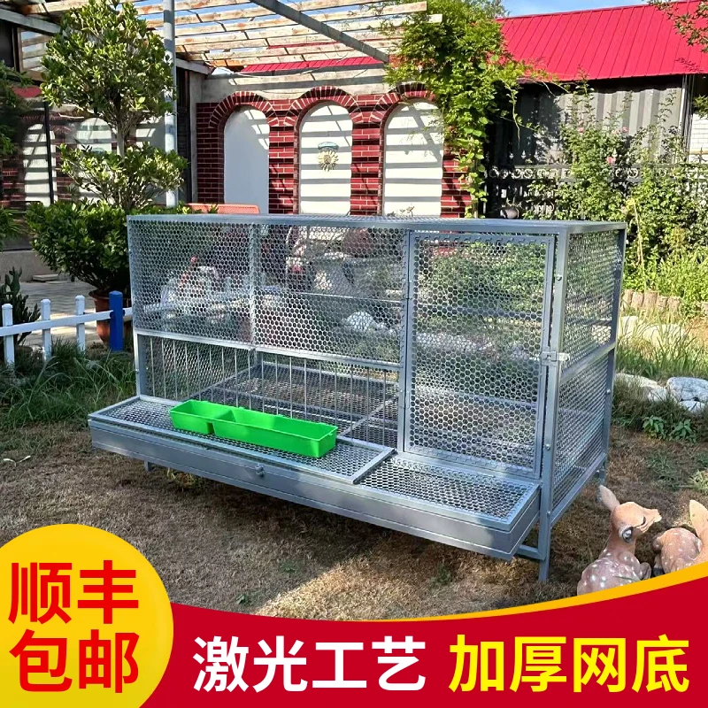 锡霖自动收蛋笼室外防雨鸡笼养殖笼防蛇鼠可拆卸大号笼探头吃食