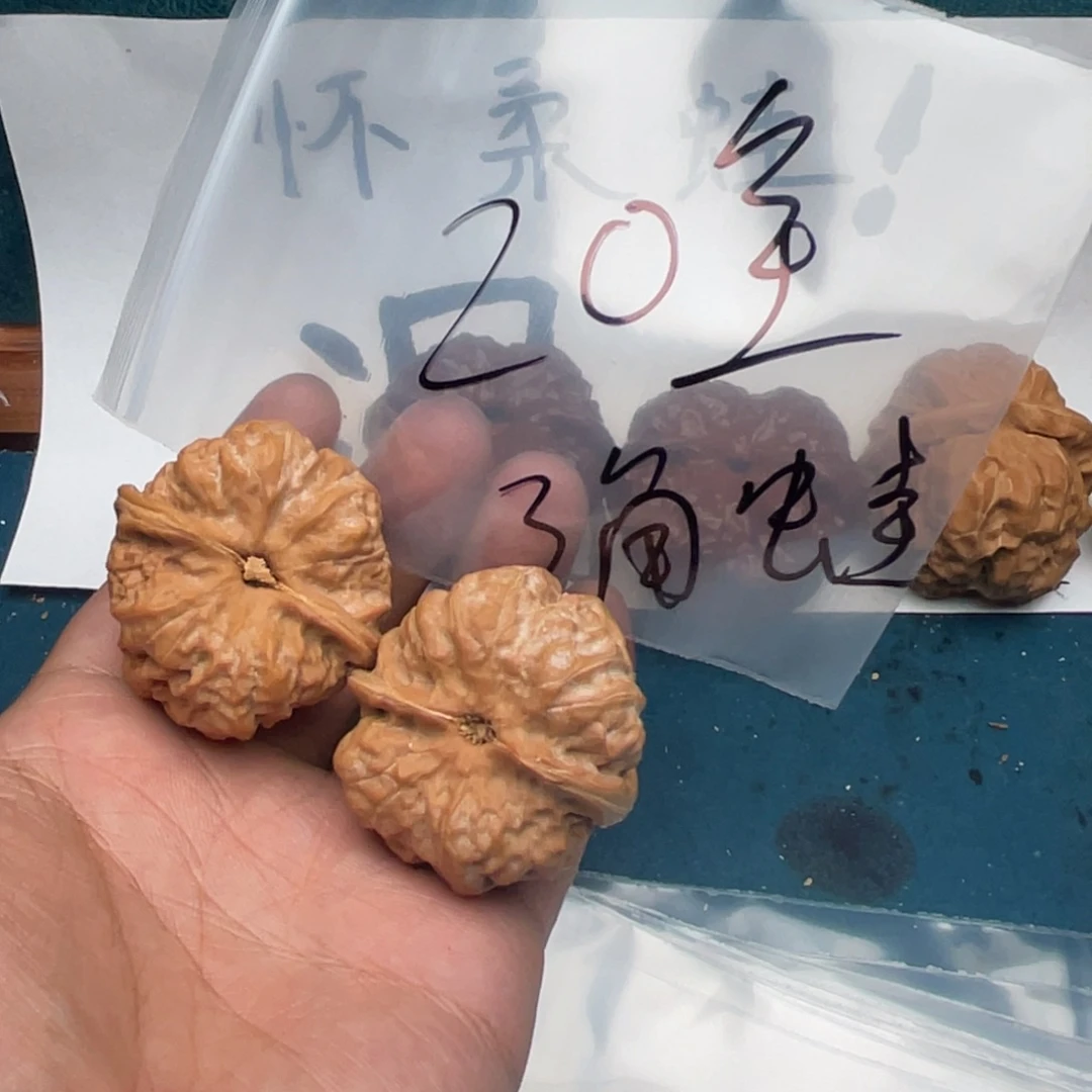 核桃753537357357573537537