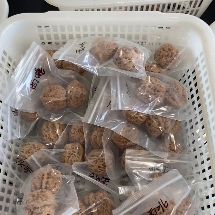 吊坠文玩核桃西北