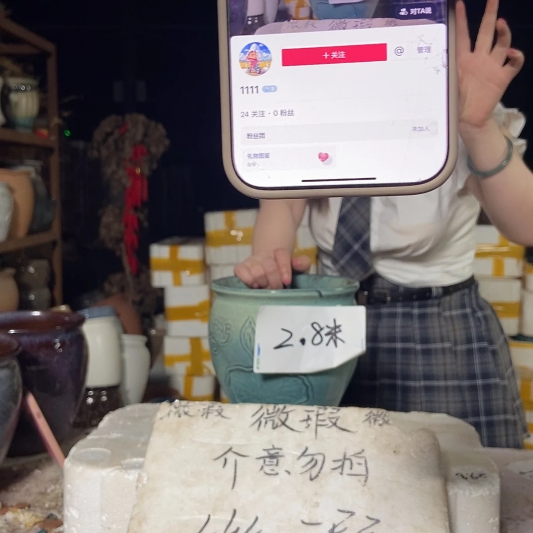 1**1花盆里栽松树枝的人