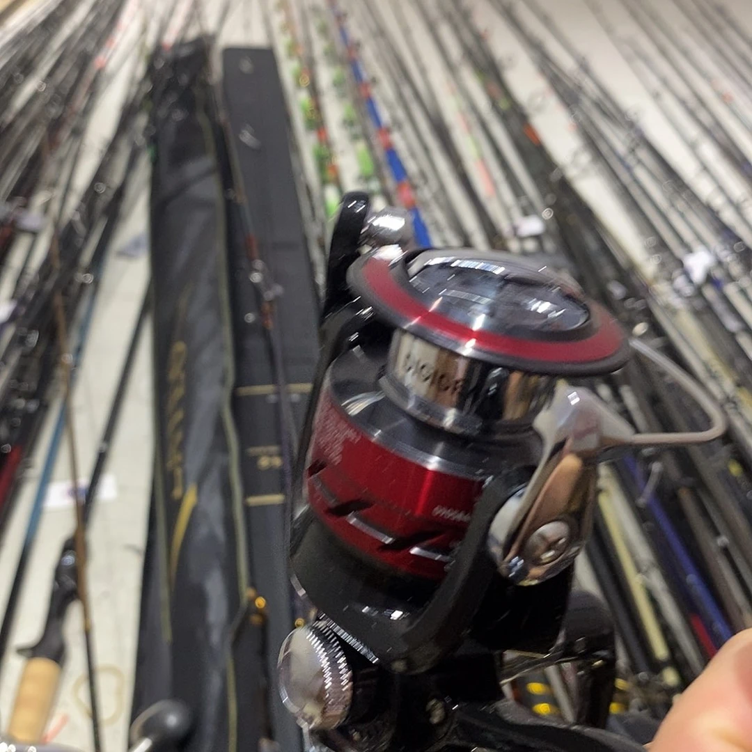 轮子哈哈哈哈哈哈哈