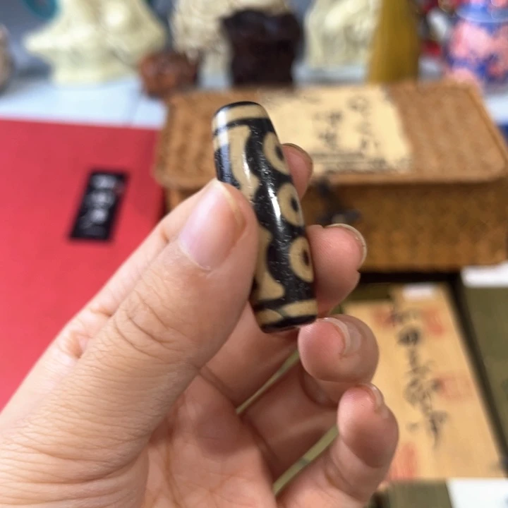 茶宠阿哈哈哈哈哈哈哈哈