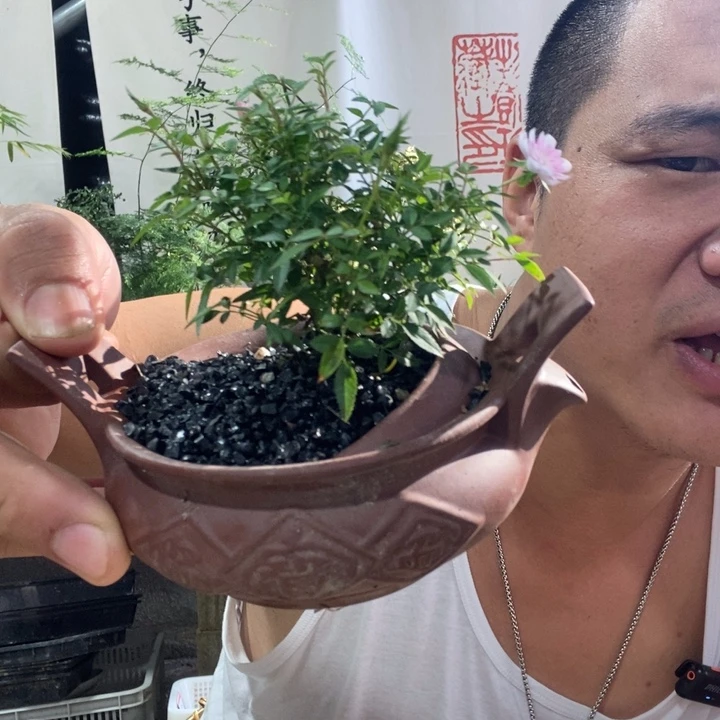 无花朵退款拉黑拉黑82