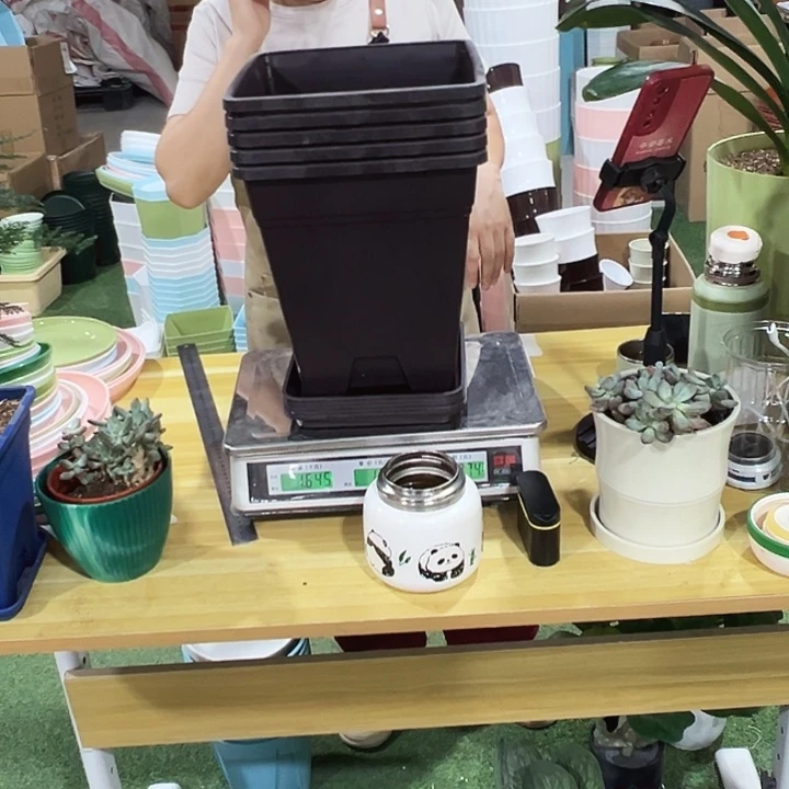 方盆口23高28紫砂带托5只