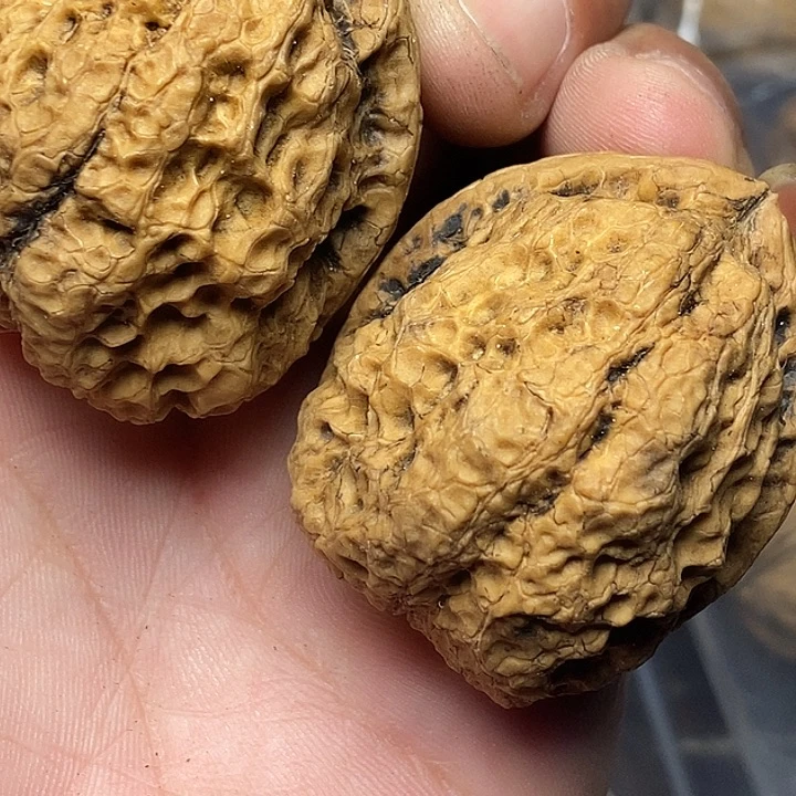 文玩核桃把件云南铁核桃73