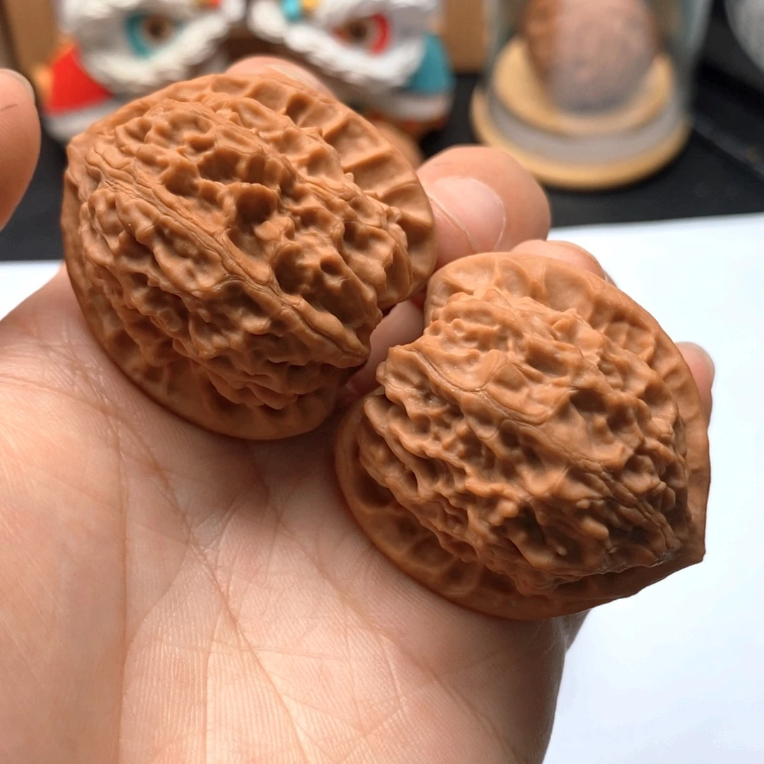 37尺全品金牛老树红皮