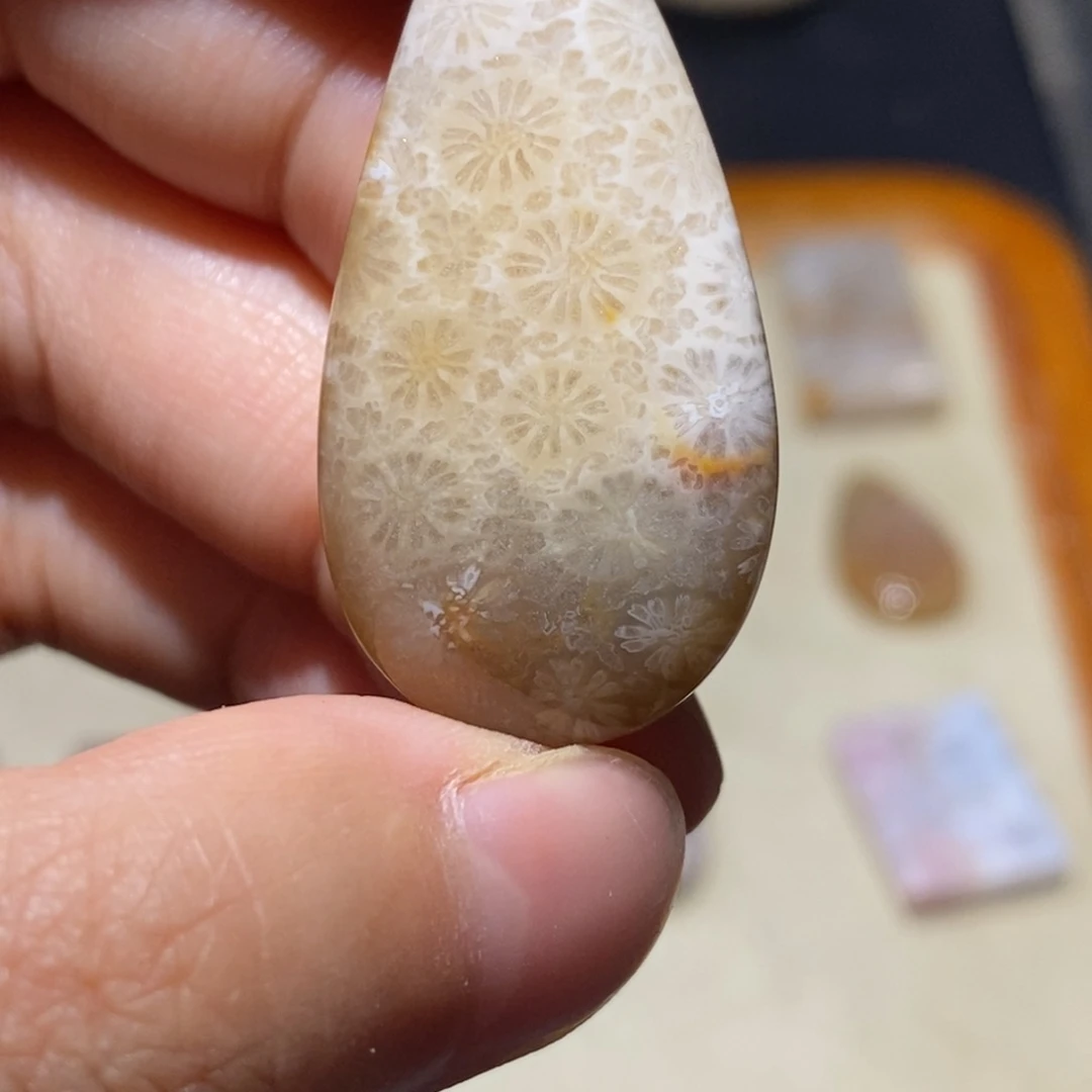 【闪购商品】硅化玉珊瑚玉未镶嵌