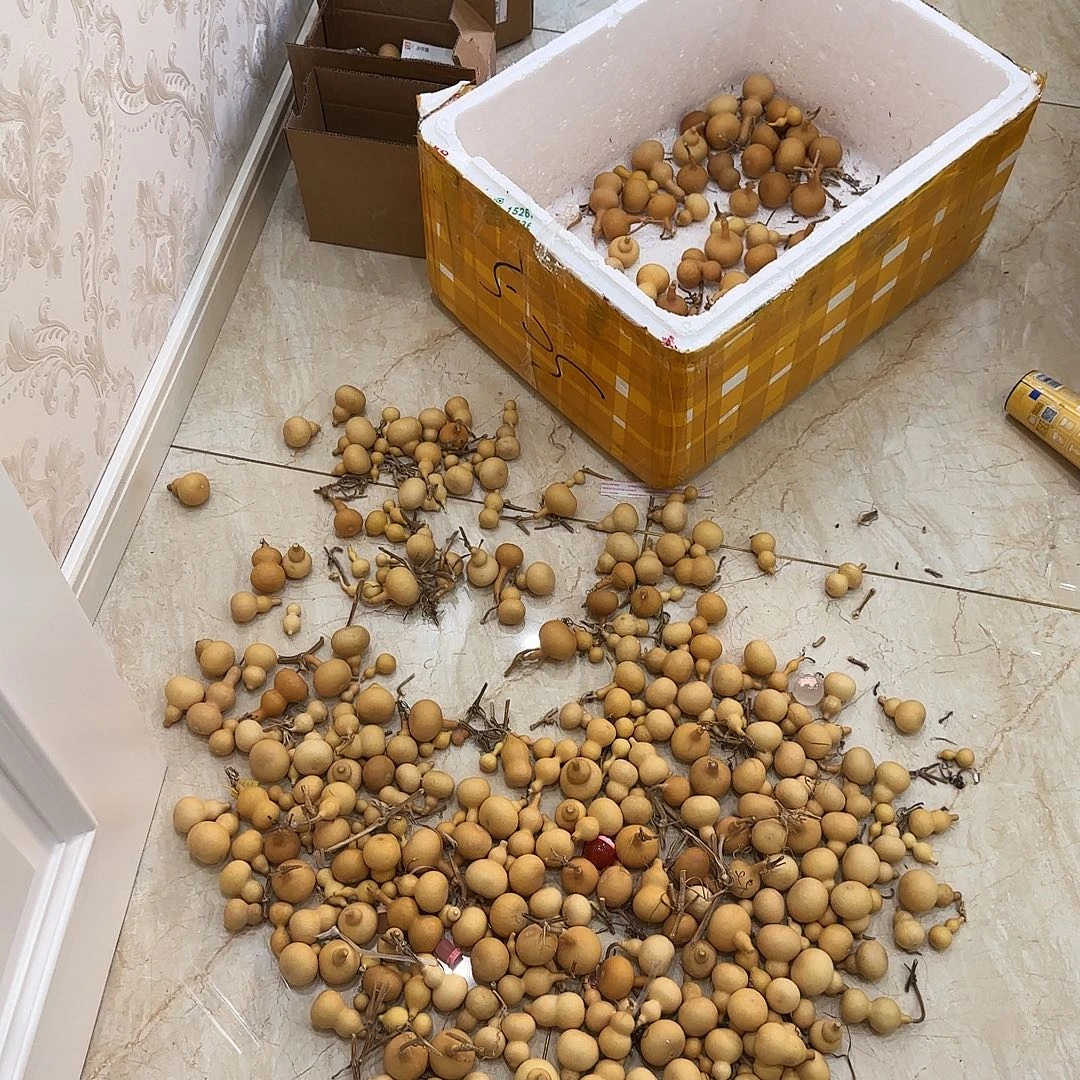 *****葫芦头的做法是用来做的