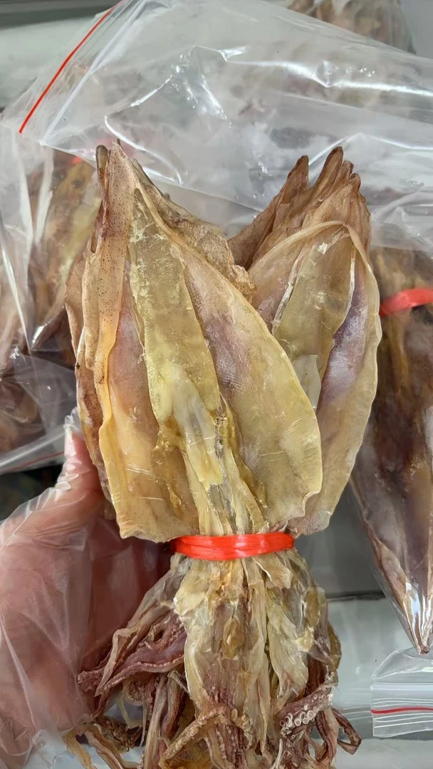 惠安小岞鱿鱼母小只