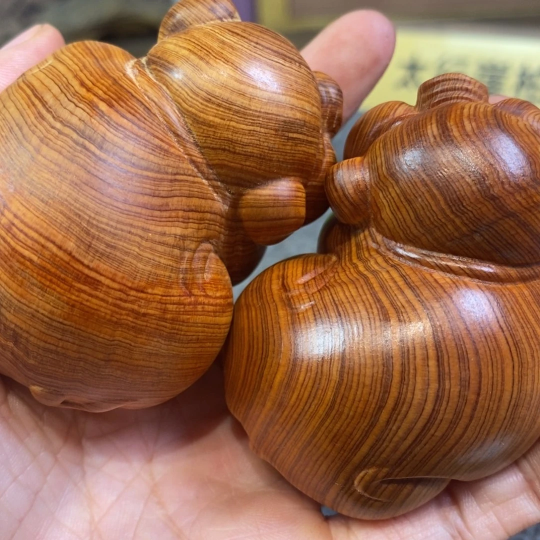 柏木（崖柏）崖柏11111