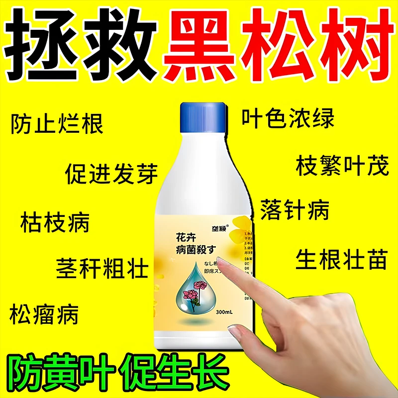 黑松专用除菌剂多菌灵营养液叶枯病赤枯枝铁锈白斑病虫害肥料
