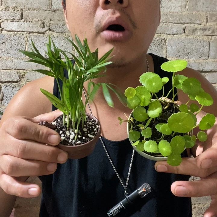 完全开放退款拉黑一物一拍155