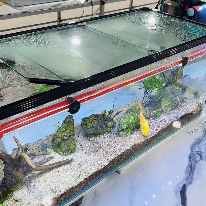 用***8玻璃120.40.侧鱼马桶全套配件