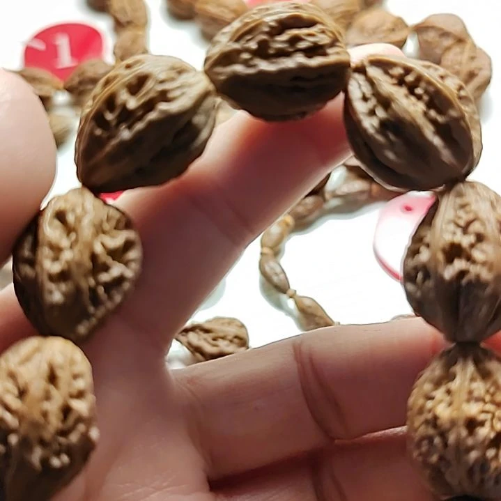 文玩核桃手串刚**…波波4手持手串