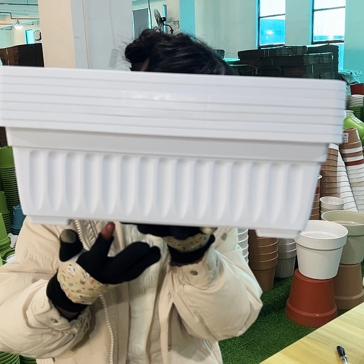 清仓七彩小菜盆长42宽18高14白色带托5个