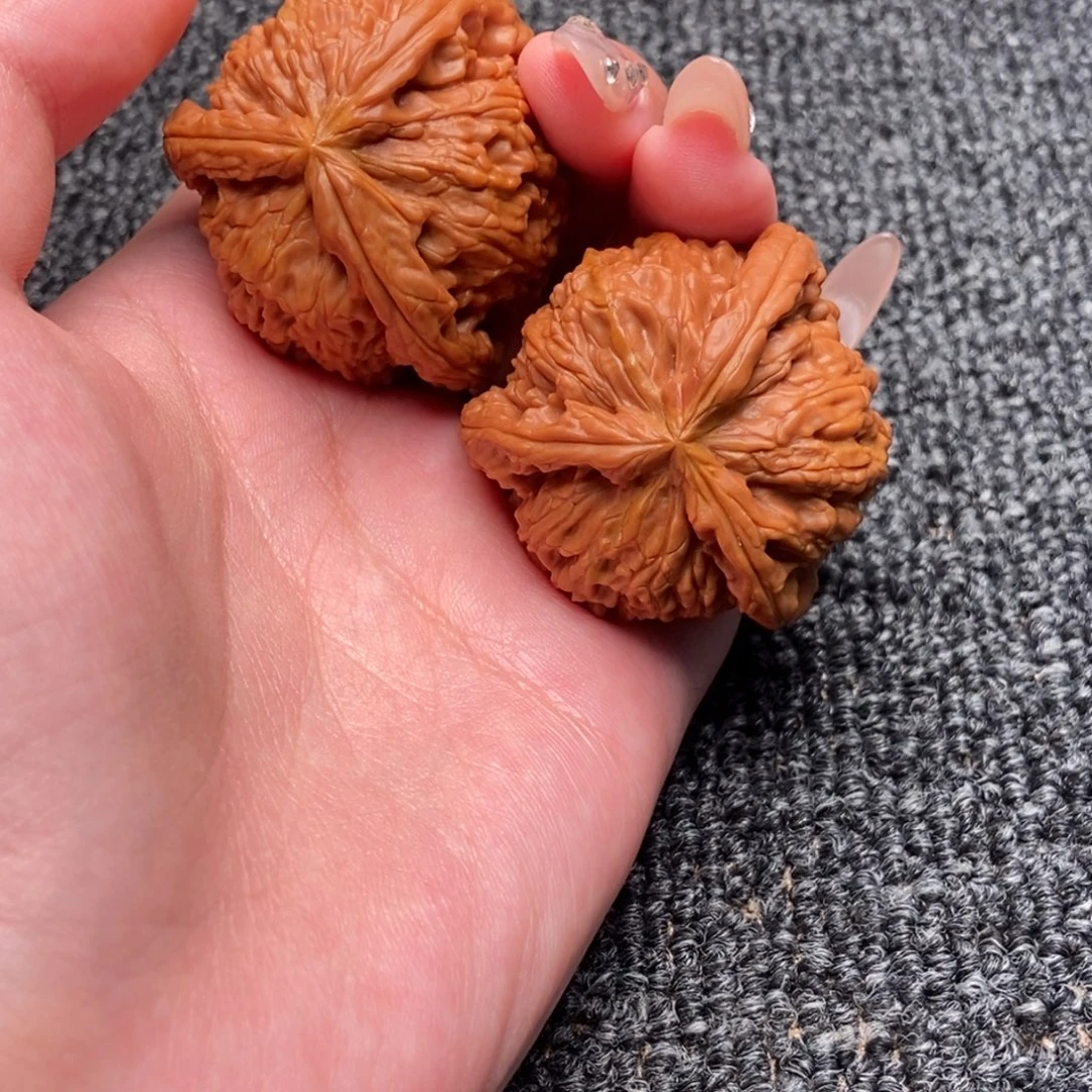 耶***木质类白狮子正奔