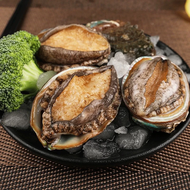 【聪嫂专属】船冻十头大鲍鱼500g/包