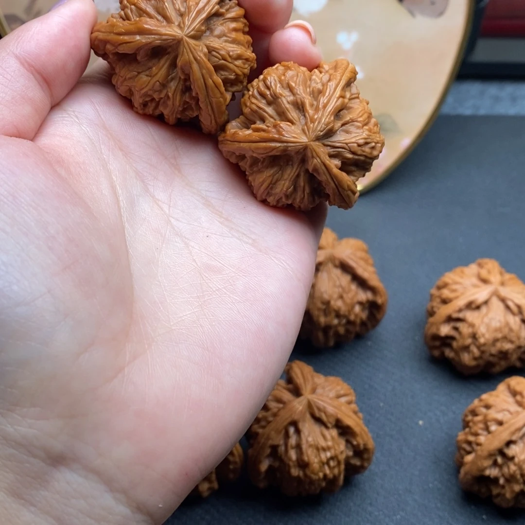 小*白狮子1111111111