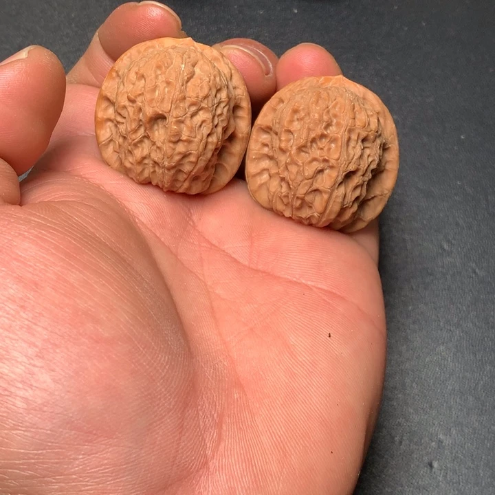 把件文玩核桃34血麒麟703