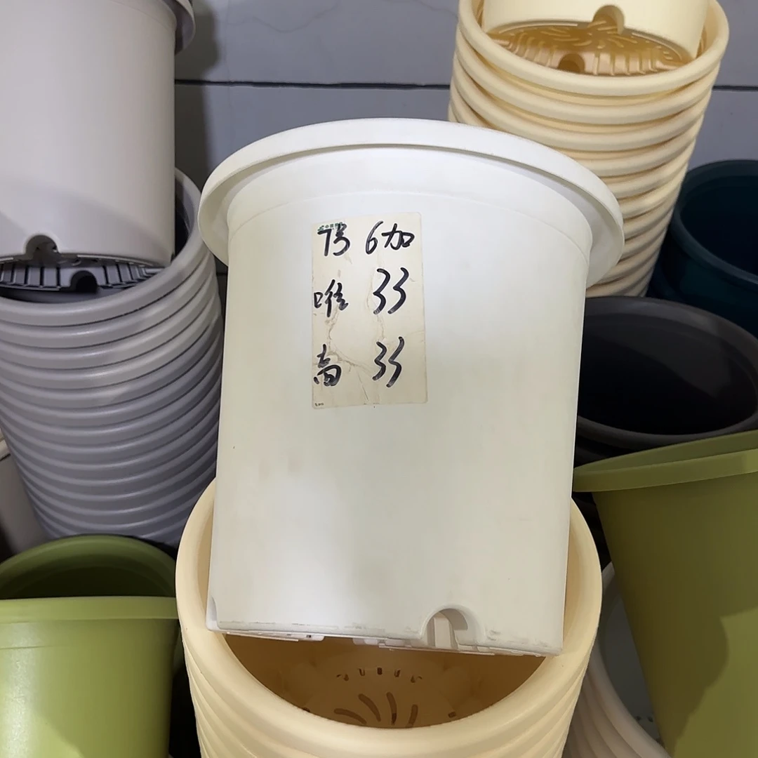 微瑕7号6个无托，白色