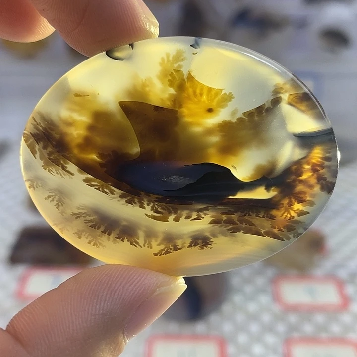 玛瑙/玉髓合金颈饰