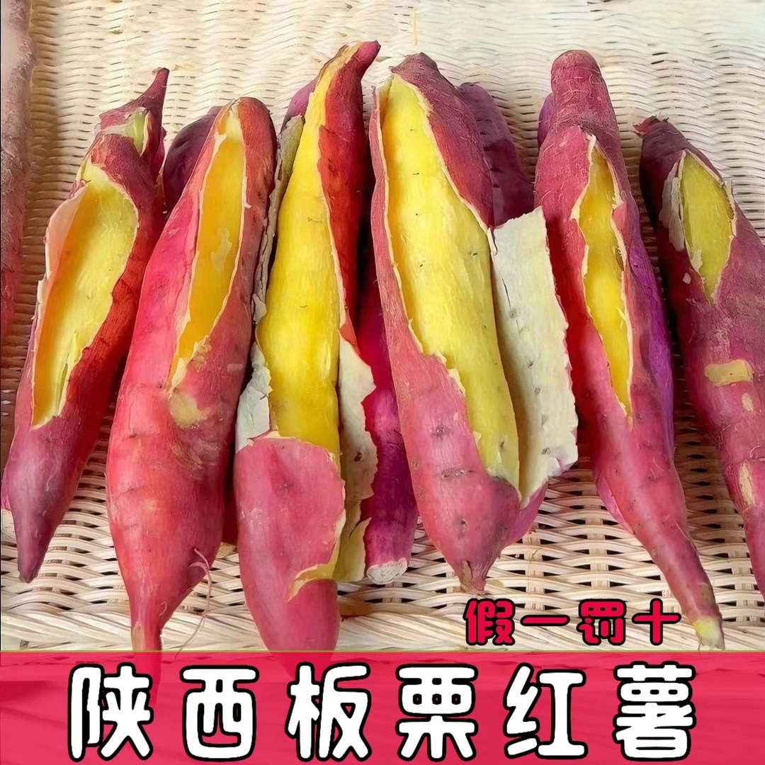 陕西临潼板栗红薯新鲜现挖沙地红薯粉糯香甜正宗农家粗粮小香薯