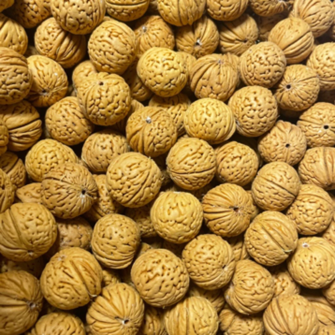 原皮原色王者南瓜桃核散籽